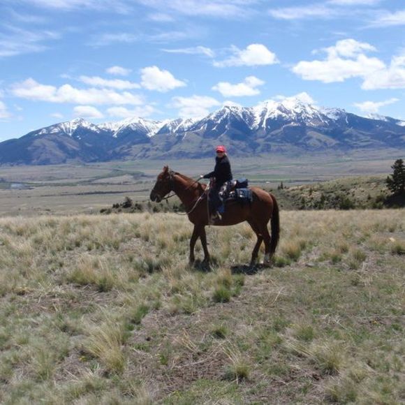 Meet your Posher, Barbara - Picture 1 of 1